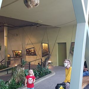 Walk through exhibit for sloths