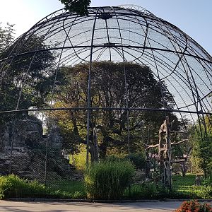 Birds of prey aviary