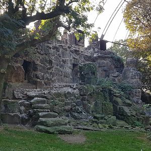 Birds of prey aviary