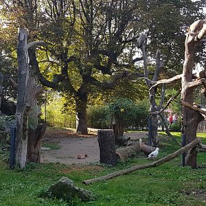 Birds of prey aviary