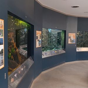 Africa house - big aquariums