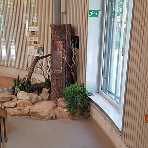 Africa house - Flower chafer exhibit