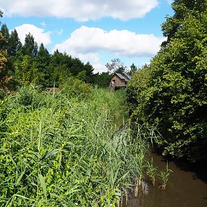 Park view with creek in the Asian section, 2020-07-21