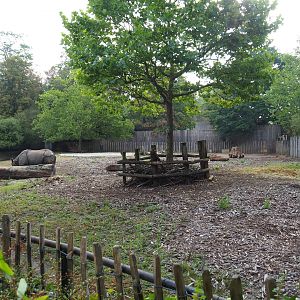 Indian rhinoceros bull paddock, 2020-08-15