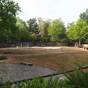 Indian rhinoceros bull paddock, 2020-08-15