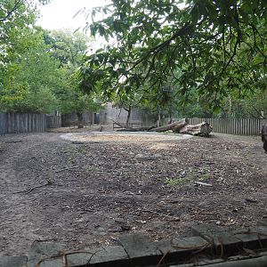 Indian rhinoceros cow and calf paddock, 2020-08-15