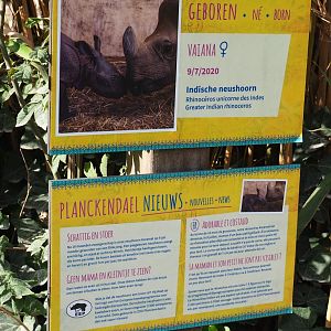Birth signage Indian rhinoceros Vaiana, 2020-08-15