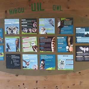 Educational signage on owl biology and ecology, 2020-08-15