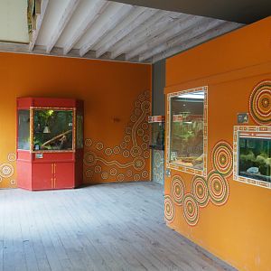 View in the Australian aquarium and vivarium house, 2020-08-15