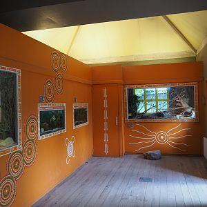 View in the Australian aquarium and vivarium house, 2020-08-15