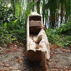 Fishing canoe theming near the bonobo island, 2020-08-15