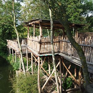 Bonobo island viewing area, 2020-08-15