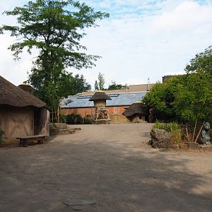 View in the African village with the bonobo building in the background, 2020-08-15