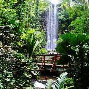 Jurong Bird Park turns 50