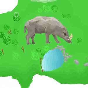 Babirusa, Chester Zoo