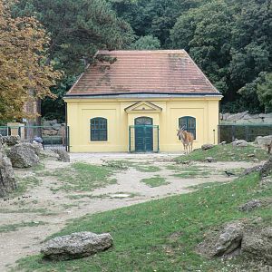 Eland enclosure October 2012