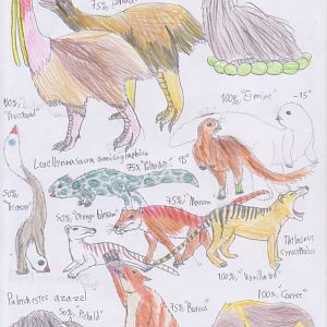 PKC: Insane Islanders