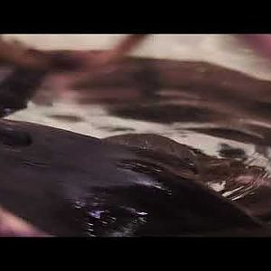 Platypus at Wild Life Sydney - YouTube Video