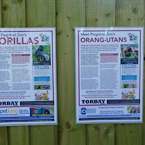 Ape house signage 2020