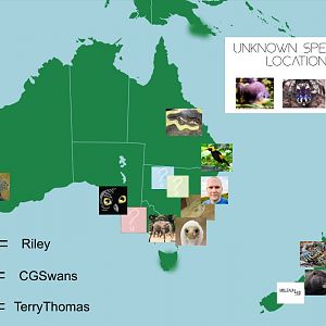 (UPDATED) A Map Of Where Our Fellow ZooChatters Live: Australia & New Zealand