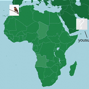 (UPDATED) A Map Of Where Our Fellow ZooChatters Live: Africa & The Middle East