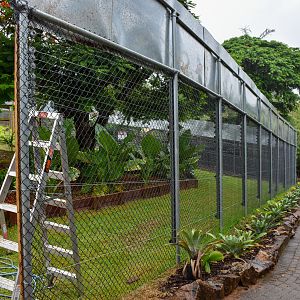Future Gibbon Enclosure