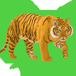 Sumatran tiger - Chester Zoo Map