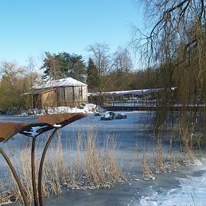 Planckendael's Oceania/Australian area in winter time, 2010-02-16