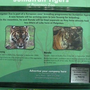 Signage for Sumatran Tigers, 2013