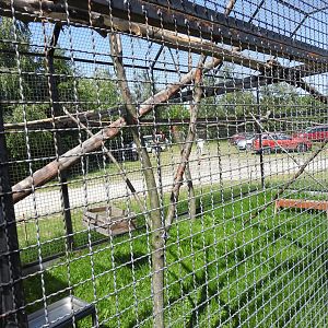cage with Macaws by the entrance