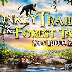 Monkey Trails & Forest Tales | Zoo Tours