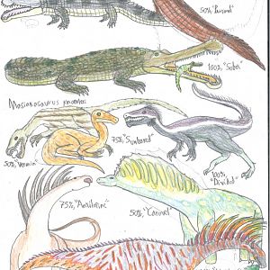 PKC: Gift of Gondwanaland