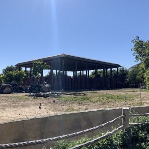 African elephant exhibit