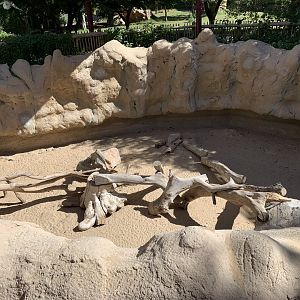 Meerkat exhibit