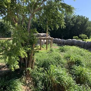 Asiatic black bear exhibit
