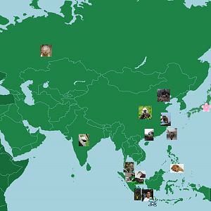 (UPDATED) A Map Of Where Our Fellow ZooChatters Live: Asia