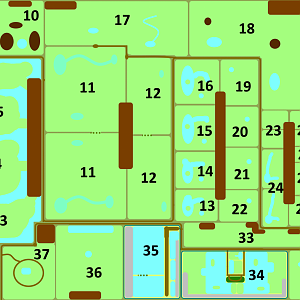 Make an Exhibit with that theme - India / Assam Trail