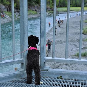 Anya watching the Fisherfolk. Alaska