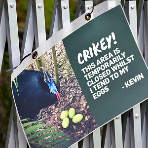 Cassowary Sign