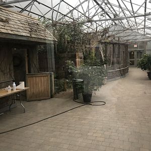 Albino American Alligator Enclosure - January, 2021