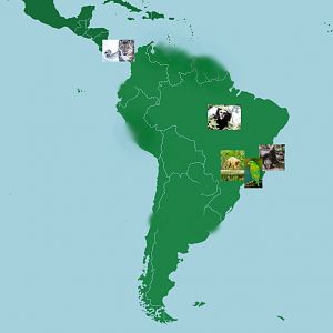 (UPDATED) A Map Of Where Our Fellow ZooChatters Live: South America