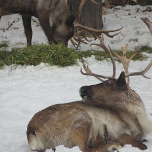 Why are you staring?