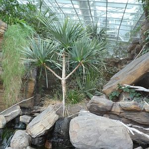 Animal Planet Australia: Wild Extremes - General View