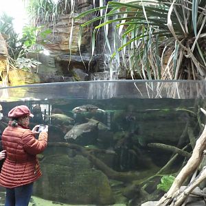 Animal Planet Australia: Wild Extremes - Turtle, Fish Exhibit