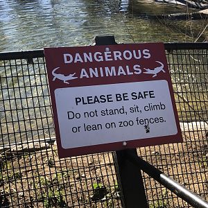 American alligator warning sign