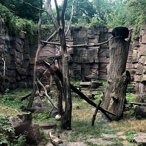 Tierpark Berlin- spectacled bear canyon- 2020
