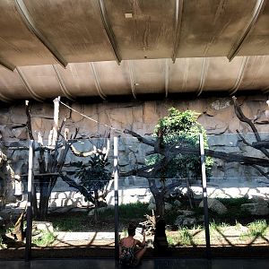 Tierpark Berlin- sun bear indoor enclosure- 2020