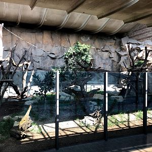Tierpark Berlin- sun bear indoor enclosure. 2020
