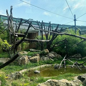 Tierpark Berlin- leopard enclosure- 2020