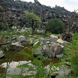Tierpark Berlin- great vulture aviary- 2020